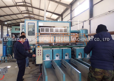 Blue Color Paper Egg Tray Machine With Multilayer Dryer Dimension 30*6*4M