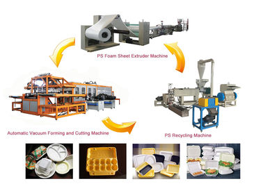 Disposable Foam Plastic Plates Food Container Making Machine For Polystyrene