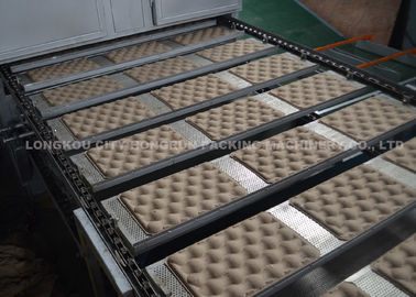 Pulp Paper Fruit Tray Production Line / Apple Tray Making Machine