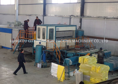 Blue Color Paper Egg Tray Machine With Multilayer Dryer Dimension 30*6*4M