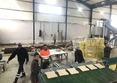 Rotary Waste Paper Egg Tray Machine , Egg Tray Production Line