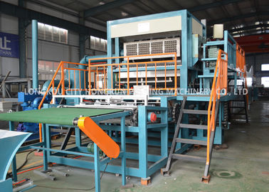 High Output Chicken Eggs Paper Tray Machine / Egg Box Making Machine