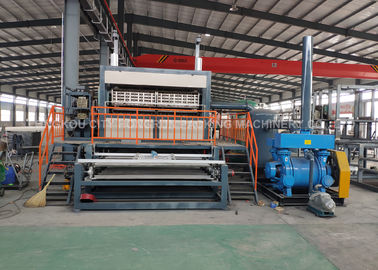 Pulp Molding Egg Tray Machine 2000 - 6000 Diesel Oil With Rotary Type