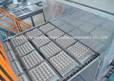 High Speed Pulp Molding Machine , Paper Pulp Egg Tray Production Line