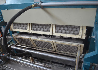 Pulp Paper Fruit Tray Production Line / Apple Tray Making Machine