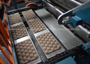 Pulp Paper Fruit Tray Production Line / Apple Tray Making Machine